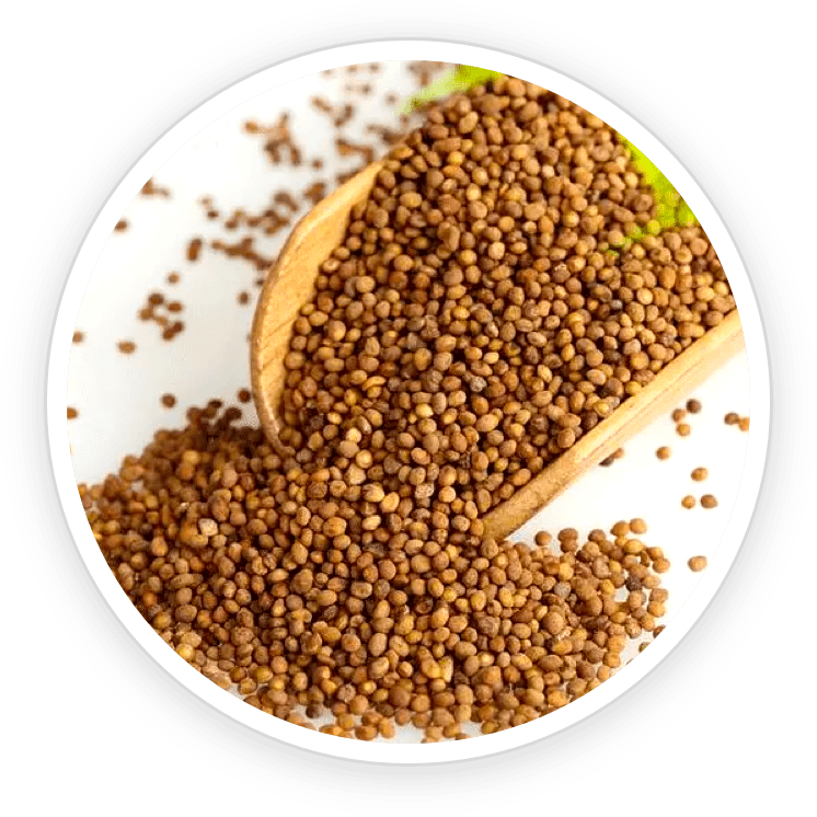 Emperor's Vigor Tonic Dodder Seed